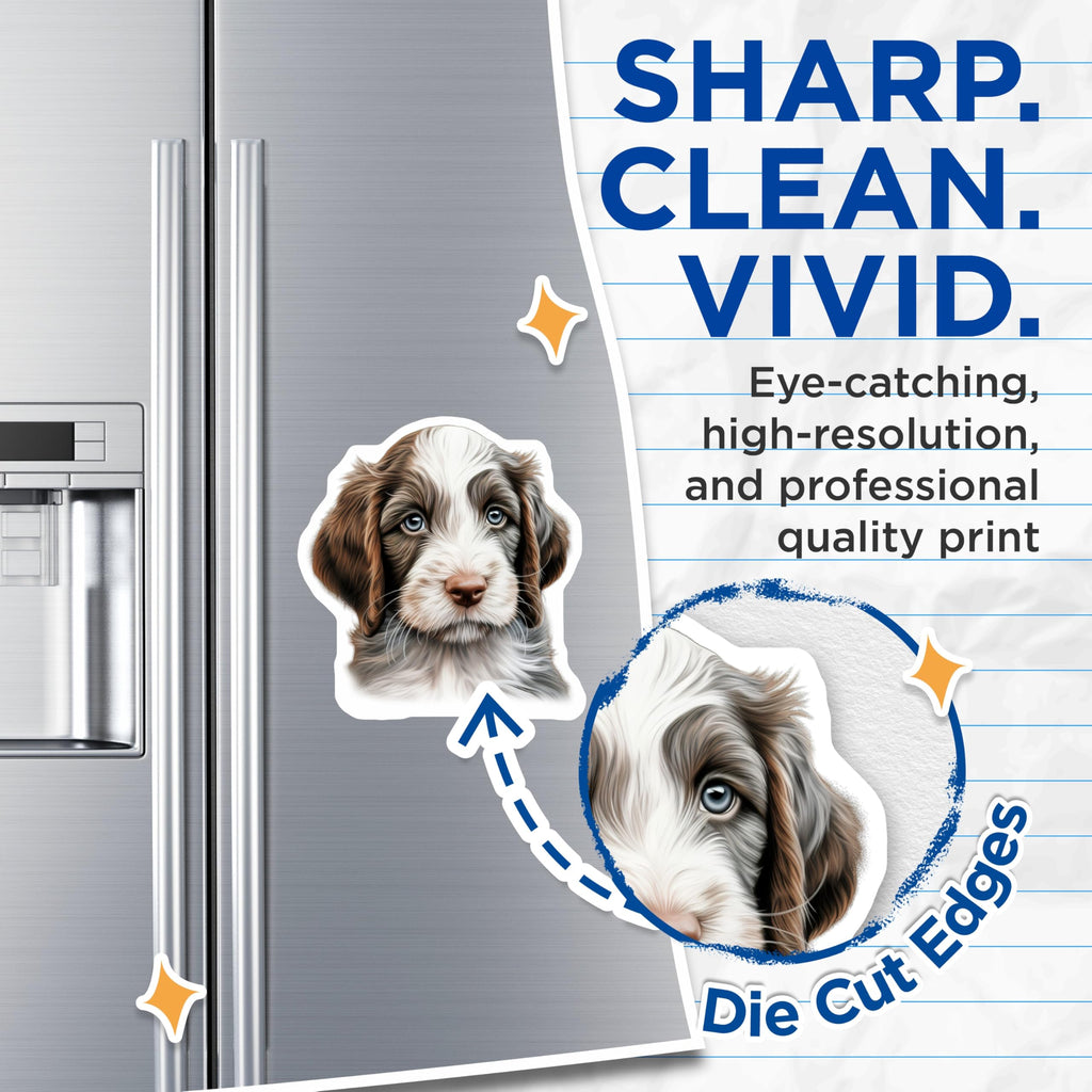 (2 Pack) Fluffy Doodle Puppy Magnets - Adorable Dog Lover Decor - Pet Owner Kitchen Accessories - 5 Inches On Longest Side - Thick Durable Magnet - Made in USA - MAG26080