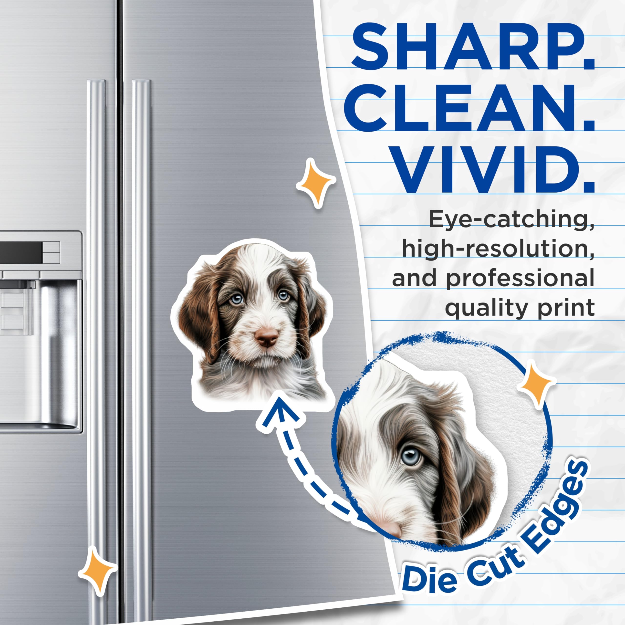(2 Pack) Fluffy Doodle Puppy Magnets - Adorable Dog Lover Decor - Pet Owner Kitchen Accessories - 5 Inches On Longest Side - Thick Durable Magnet - Made in USA - MAG26080
