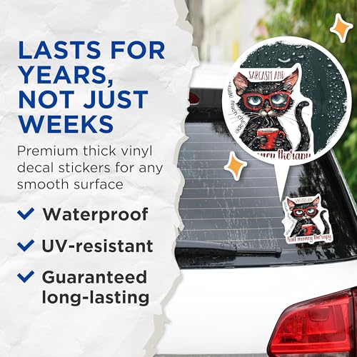 (2 Pack) Sarcasm and Attitude Stickers - Cat Lover Decal - Funny Black Cat Sticker - 5" On Longest Side - Sticks to Smooth Flat Surfaces - Made in USA - BMCS4334