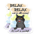 (2 Pack) Funny Cat Magnets - Crazy Cat Lady Decor - Refrigerator Office Locker Magnets - Relatable Humor Quirky Cat Art - 5 Inches On Longest Side - Thick Durable Magnet - Made in USA - MAG38498