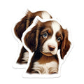 (2 Pack) Adorable Puppy Magnets - Brown White Dog Decor - Cute Blue Eyed Canine Artwork - 5 Inches On Longest Side - Thick Durable Magnet - Made in USA - MAG24848