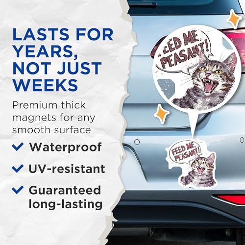(2 Pack) Feed Me Peasant Magnets Magnets - Funny Cat Quote - Humorous Fridge Decor - 5" On Longest Side - Made in USA - Sticks to Refrigerators & Metal Surfaces - MAG8746