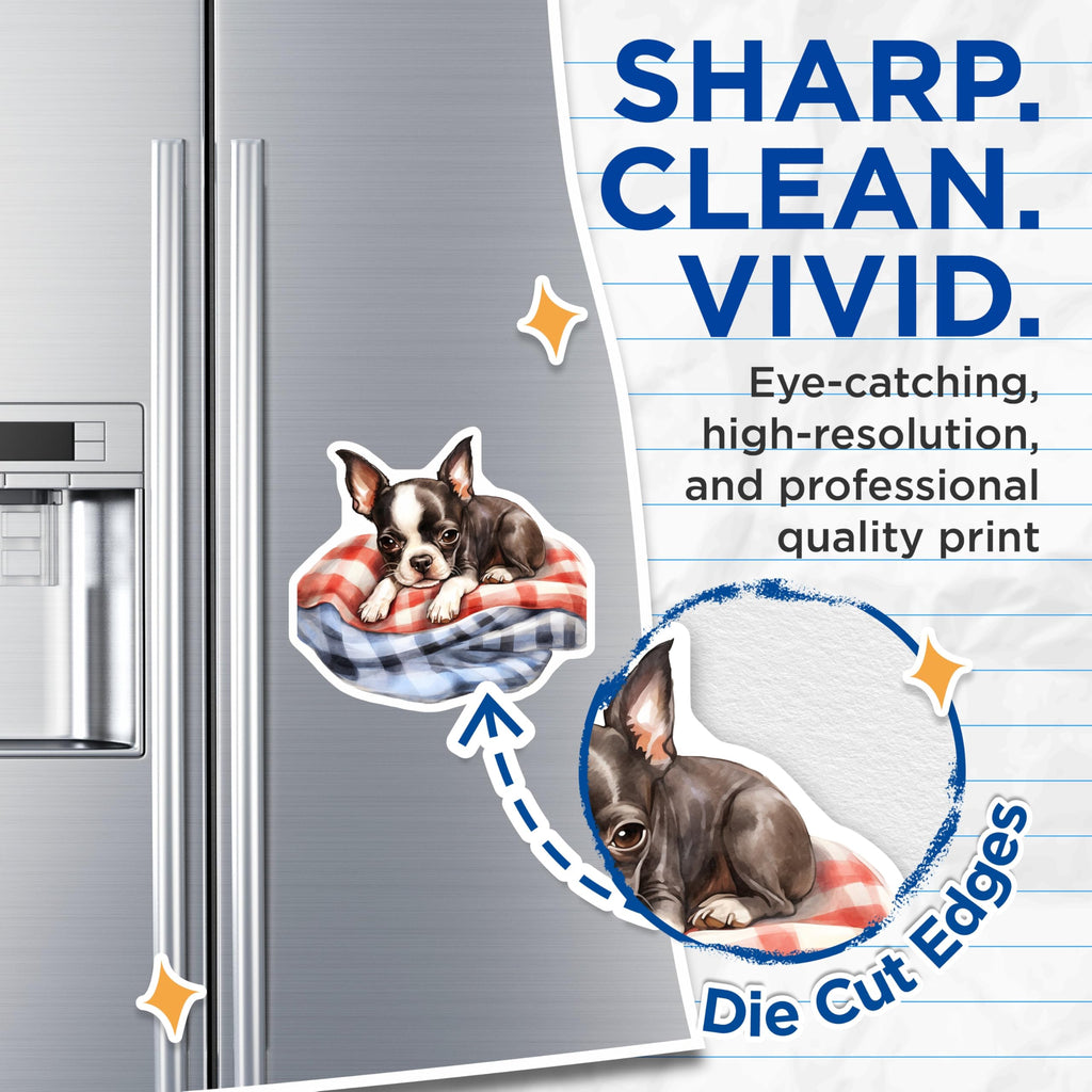 (2 Pack) Boston Terrier Magnets - Cute Puppy Fridge Magnets - Dog Lover Home Decor - 5" On Longest Side - Premium Magnet - for Cars, Refrigerators, Toolboxes, Lockers - Made in USA - MAG16580