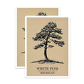 (2 Pack) White Pine Magnets - Michigan State Tree Art - Nature Lover Refrigerator Decor - 5" On Longest Side - Premium Magnet - for Cars, Refrigerators, Toolboxes, Lockers - Made in USA - MAG17579
