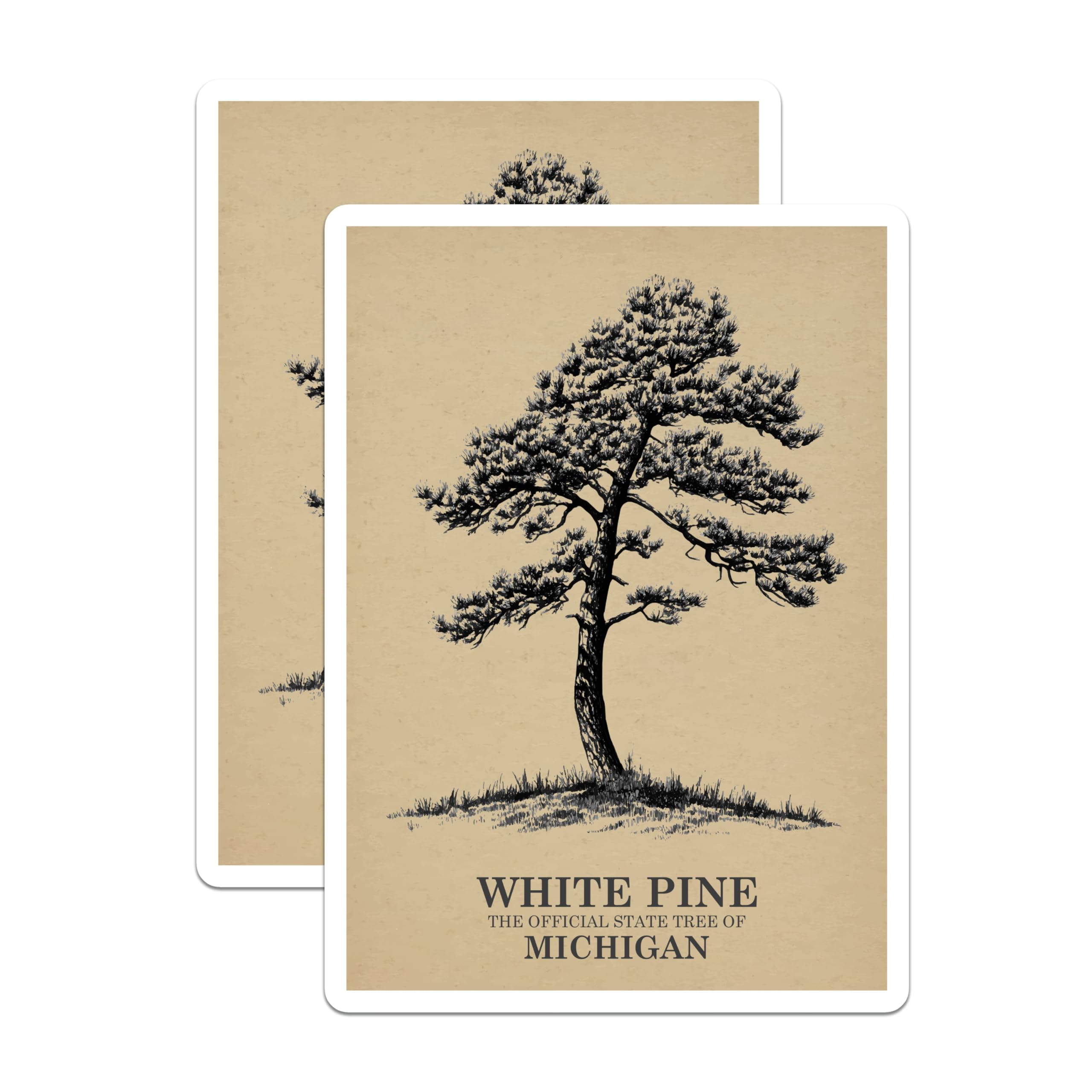 (2 Pack) White Pine Magnets - Michigan State Tree Art - Nature Lover Refrigerator Decor - 5" On Longest Side - Premium Magnet - for Cars, Refrigerators, Toolboxes, Lockers - Made in USA - MAG17579
