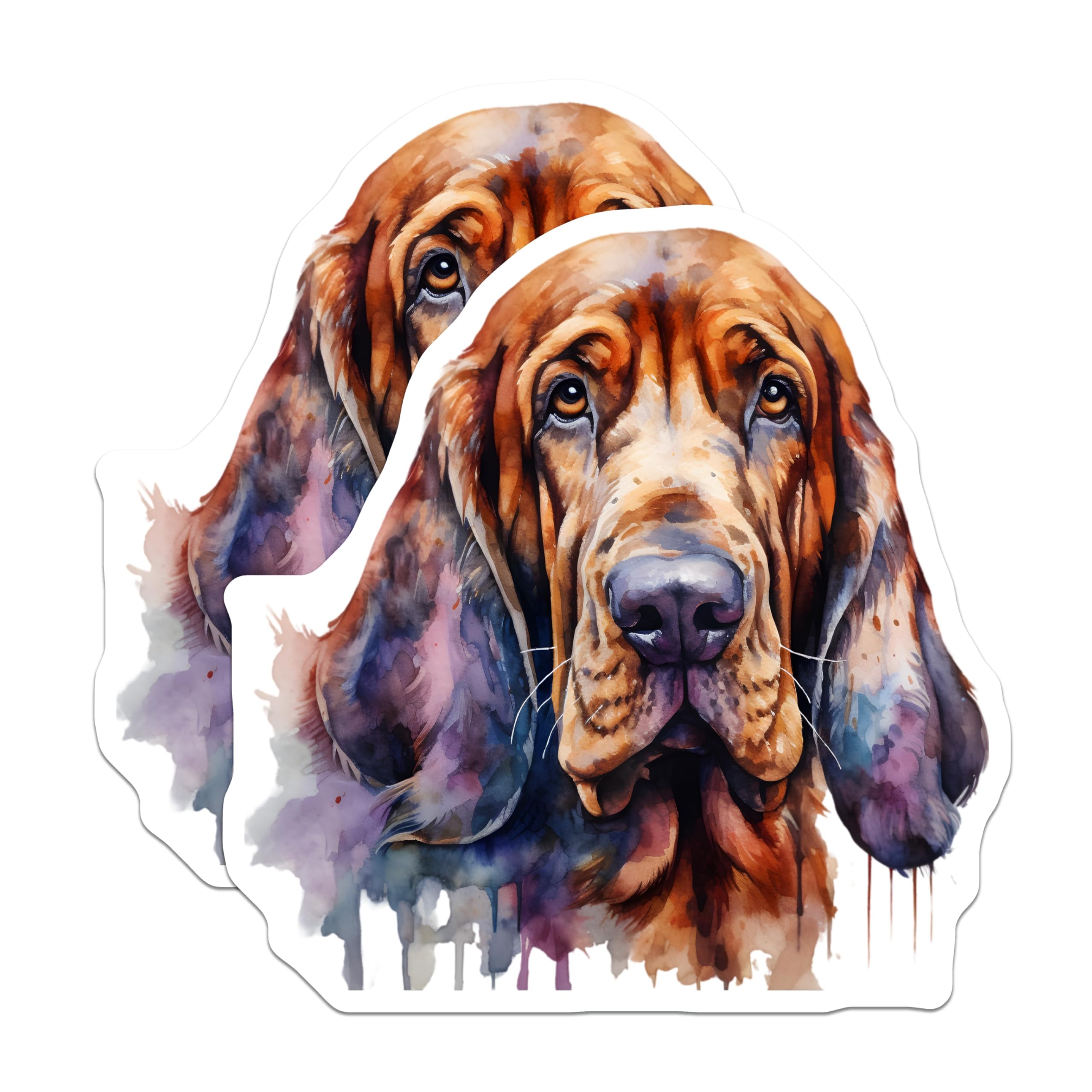 (2 Pack) Bloodhound Magnets - Watercolor Dog Art - Pet Lover Fridge Decor - Dog Mom Dad Bloodhound Owner - 5 Inches On Longest Side - Thick Durable Magnet - Made in USA - MAG30892
