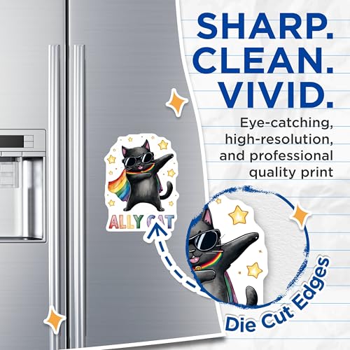 (2 Pack) Cute Cat Decor Magnet - 5" On Longest Side - Sticks to Smooth Flat Surfaces - Made in USA - MAG9553