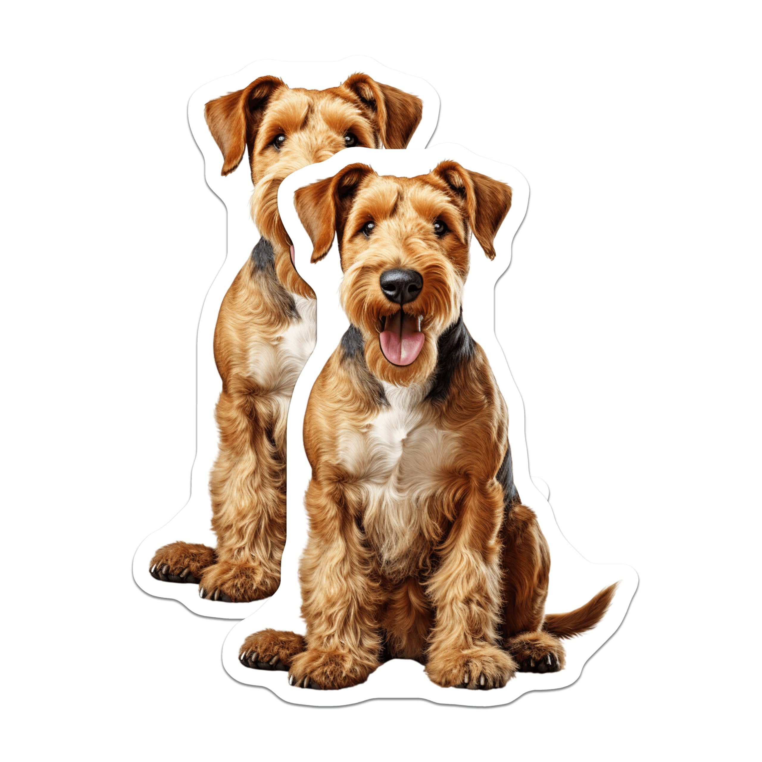 (2 Pack) Airedale Terrier Magnets - Cute Dog Lover Decor - Pet Owner Fridge Accent - Animal Enthusiast Locker Magnet - 5 Inches On Longest Side - Thick Durable Magnet - Made in USA - MAG26148