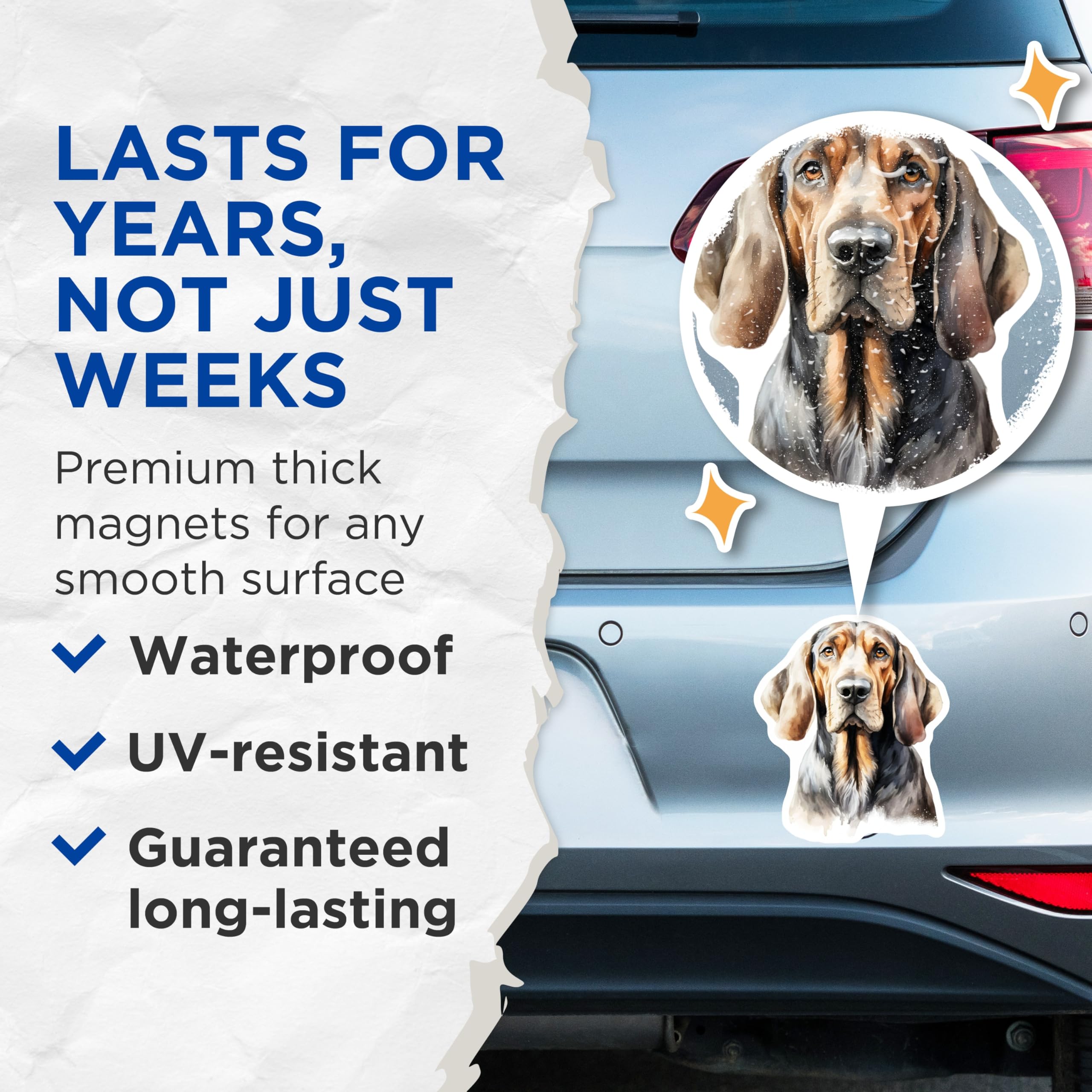 (2 Pack) Basset Hound Magnets - Watercolor Dog Art - Pet Lover Fridge Decor - Hound Dog Owner Appreciation - 5 Inches On Longest Side - Thick Durable Magnet - Made in USA - MAG30708