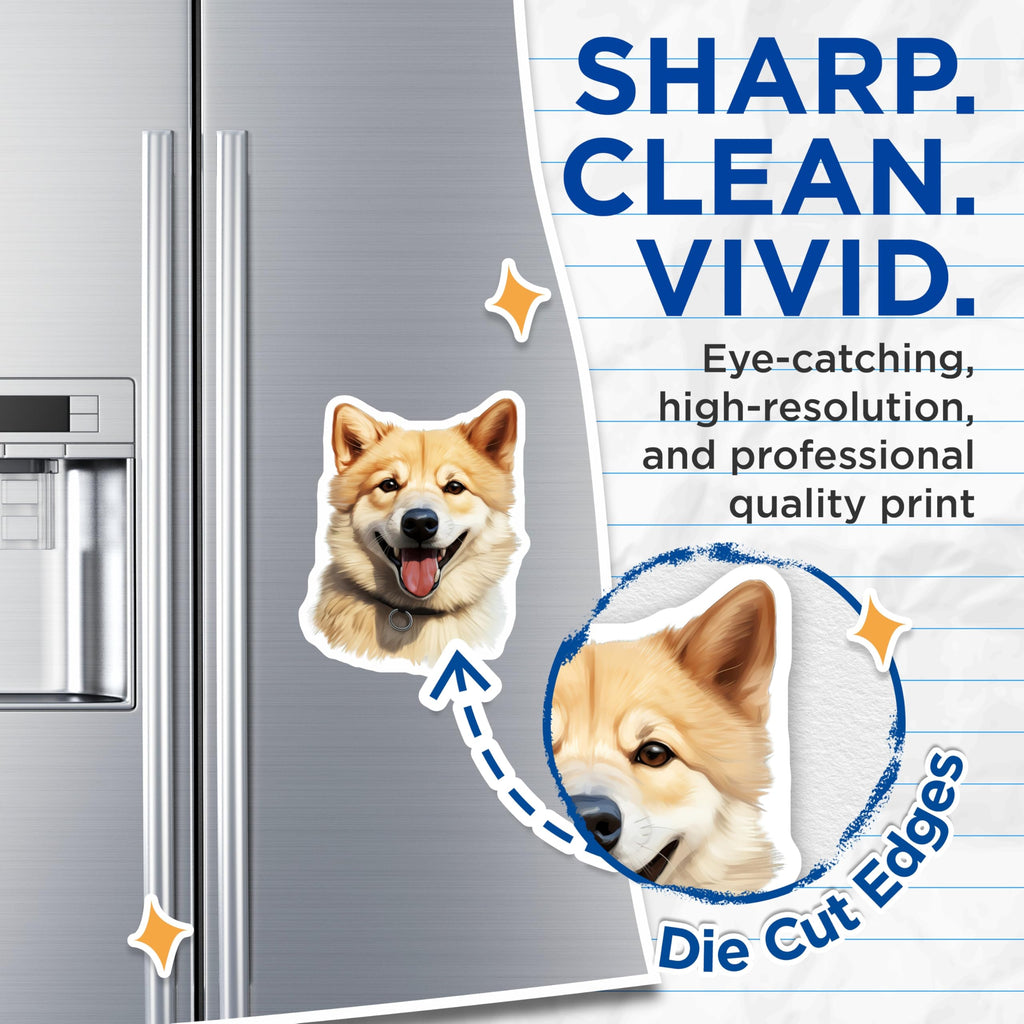 (2 Pack) Shiba Inu Magnets - Smiling Fluffy Dog - Pet Lover Fridge Decor - Dog Owner Car Accessory - Happy Canine Kitchen Art - 5 Inches On Longest Side - Thick Durable Magnet - Made in USA - MAG29822
