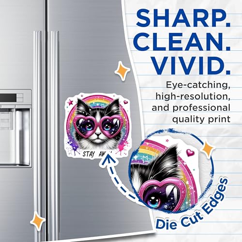 (2 Pack) Stay Away Cat Magnets - Cute Cat Magnets - Rainbow Cat Magnets - Heart Glasses Cat Magnets - 5" On Longest Side - for Cars, Fridges, Toolboxes - Made in USA - MAG4588