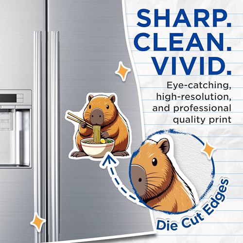 (2 Pack) Funny Capybara Art Magnet - Kitchen Decor - 5" On Longest Side - Sticks to Smooth Flat Surfaces - Made in USA - MAG9903