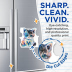 (2 Pack) Cute Watercolor Kitten Magnets - Aesthetic Cat Lover Pet Art - Whimsical Animal Fridge Decor - Office Locker Magnets - 5 Inches On Longest Side - Thick Durable Magnet - Made in USA - MAG36007