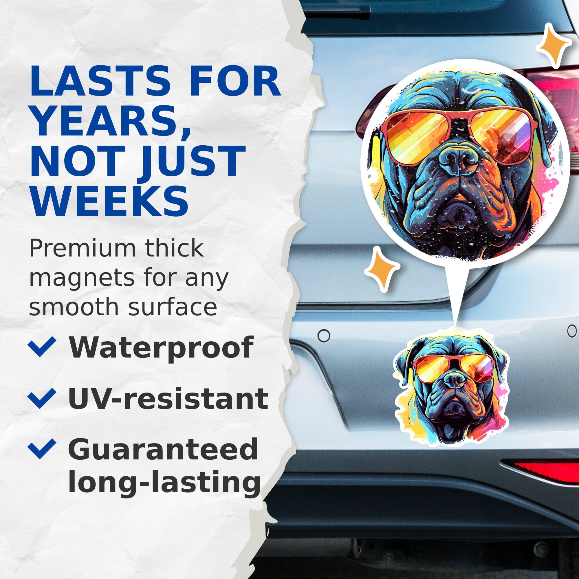 (2 Pack) Cane Corso Dog Magnets - Cane Corso with Sunglasses - Choose FromOver 100 Dog Breeds - 5" On Longest Side - Premium Magnet - Made in USA - MAG0332
