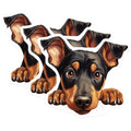 (3 Pack) Rottweiler Decals - Cute Dog - Puppy Peek Animal Stickers - 3 Inches On Longest Side - Easy Peel & Apply - Made in USA - 3MCS8731