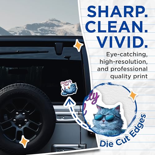 (2 Pack) Purrfectly Cool Cat Stickers - 5" On Longest Side - Sticks to Smooth Flat Surfaces - Made in USA - BMCS9161 - BMCS9161