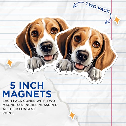 (2 Pack) Cute Beagle Face Magnet - Dog Lover Gifts - 5" On Longest Side - Sticks to Smooth Flat Surfaces - Made in USA - MAG9822