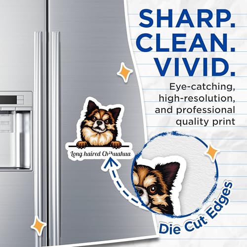 (2 Pack) Long Haired Chihuahua Magnets - Cute Dog - Pet Lover Accessories - 5" On Longest Side - for Cars, Fridges, Toolboxes - Made in USA - MAG4221