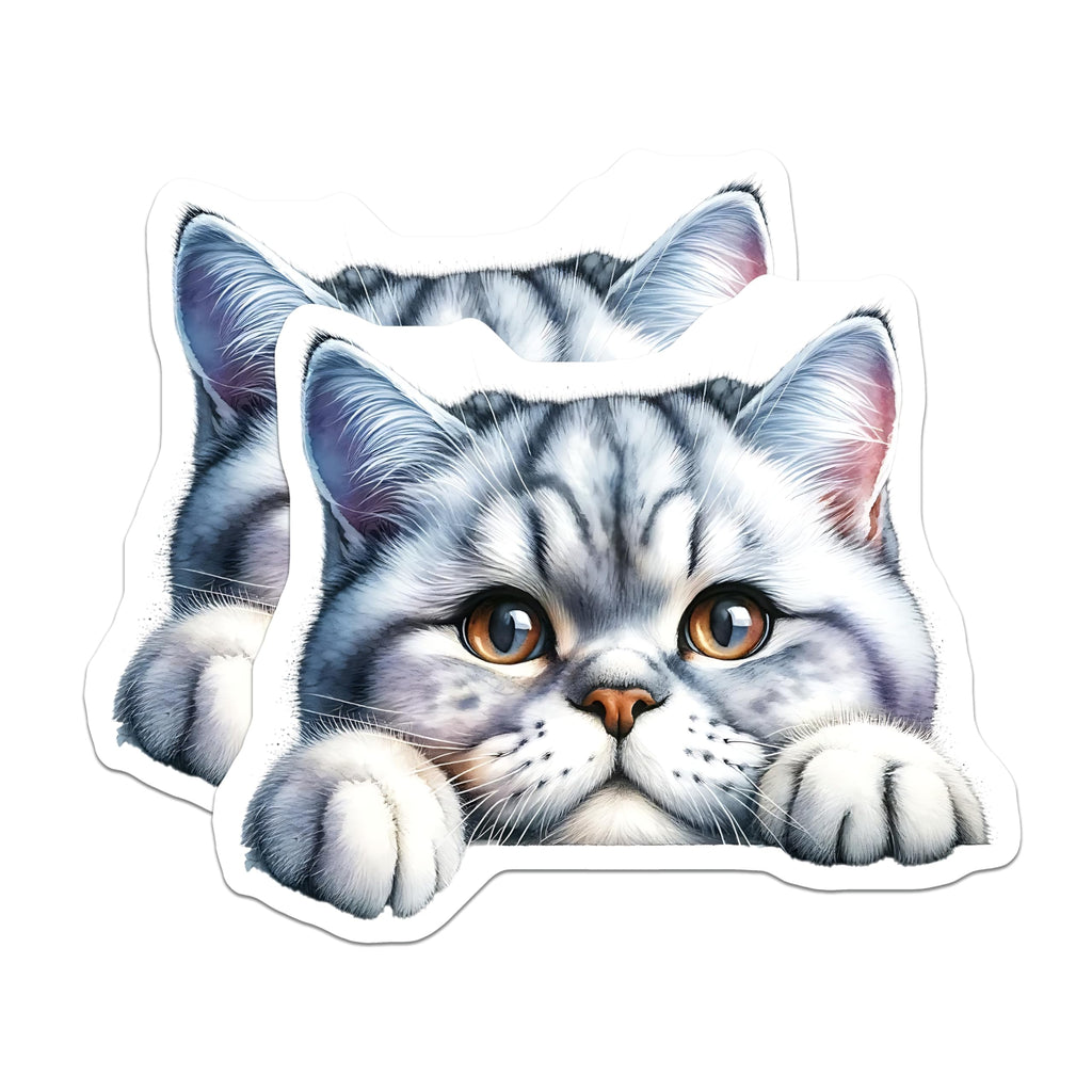 (2 Pack) Tabby Cat Magnets - Silver Tabby Kitten - Refrigerator Decor for Cat Lovers - 5" On Longest Side - Premium Magnet - for Cars, Refrigerators, Toolboxes, Lockers - Made in USA - MAG14537
