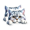 (2 Pack) Tabby Cat Magnets - Silver Tabby Kitten - Refrigerator Decor for Cat Lovers - 5" On Longest Side - Premium Magnet - for Cars, Refrigerators, Toolboxes, Lockers - Made in USA - MAG14537