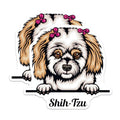 (2 Pack) Shih Tzu Dog Breed Stickers - Adorable Dog - Cute Pet - Shih Tzu Lover - Dog Owner - 5" On Longest Side - Sticks to Smooth Flat Surfaces - Made in USA - BMCS4232