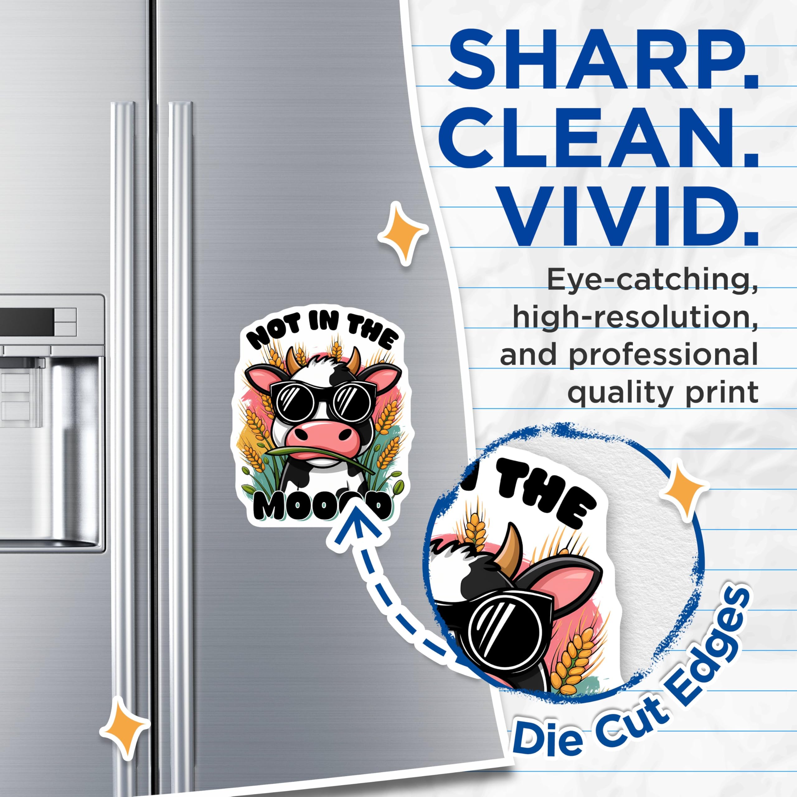 (2 Pack) Kitchen Decor Magnet - 5" On Longest Side - Sticks to Smooth Flat Surfaces - Made in USA - MAG9800