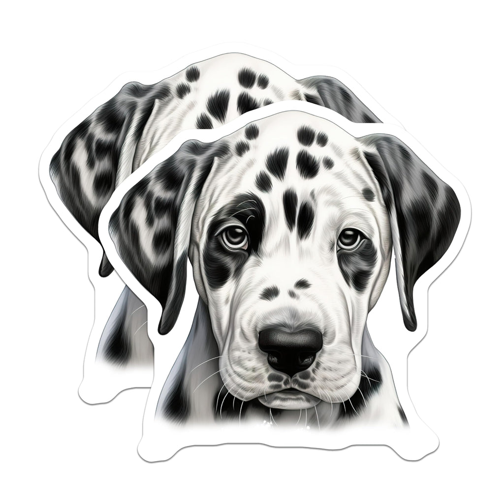 (2 Pack) Dalmatian Puppy Magnets - Spotted Dog Art - Pet Lover Accessories - 5 Inches On Longest Side - Thick Durable Magnet - Made in USA - MAG28428