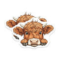 (2 Pack) Highland Cow Magnets - Cute Farm Animal Fridge Decor - Rustic Kitchen Accessory - Animal Lover Locker Art - 5 Inches On Longest Side - Thick Durable Magnet - Made in USA - MAG39063