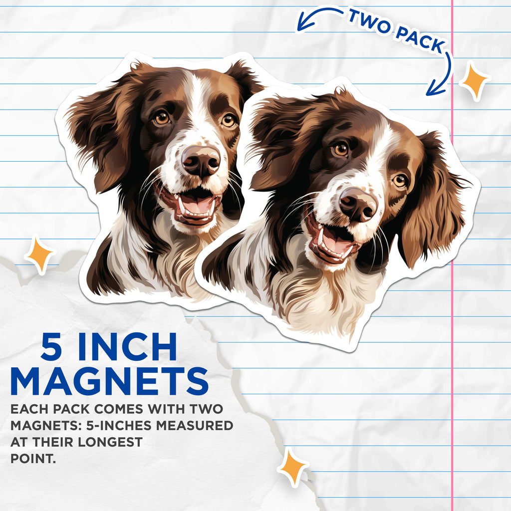 (2 Pack) Springer Spaniel Dog Magnets - Smiling Dog Head Art - Pet Owner Fridge Decor - Animal Lover Accessory - 5 Inches On Longest Side - Thick Durable Magnet - Made in USA - MAG37493