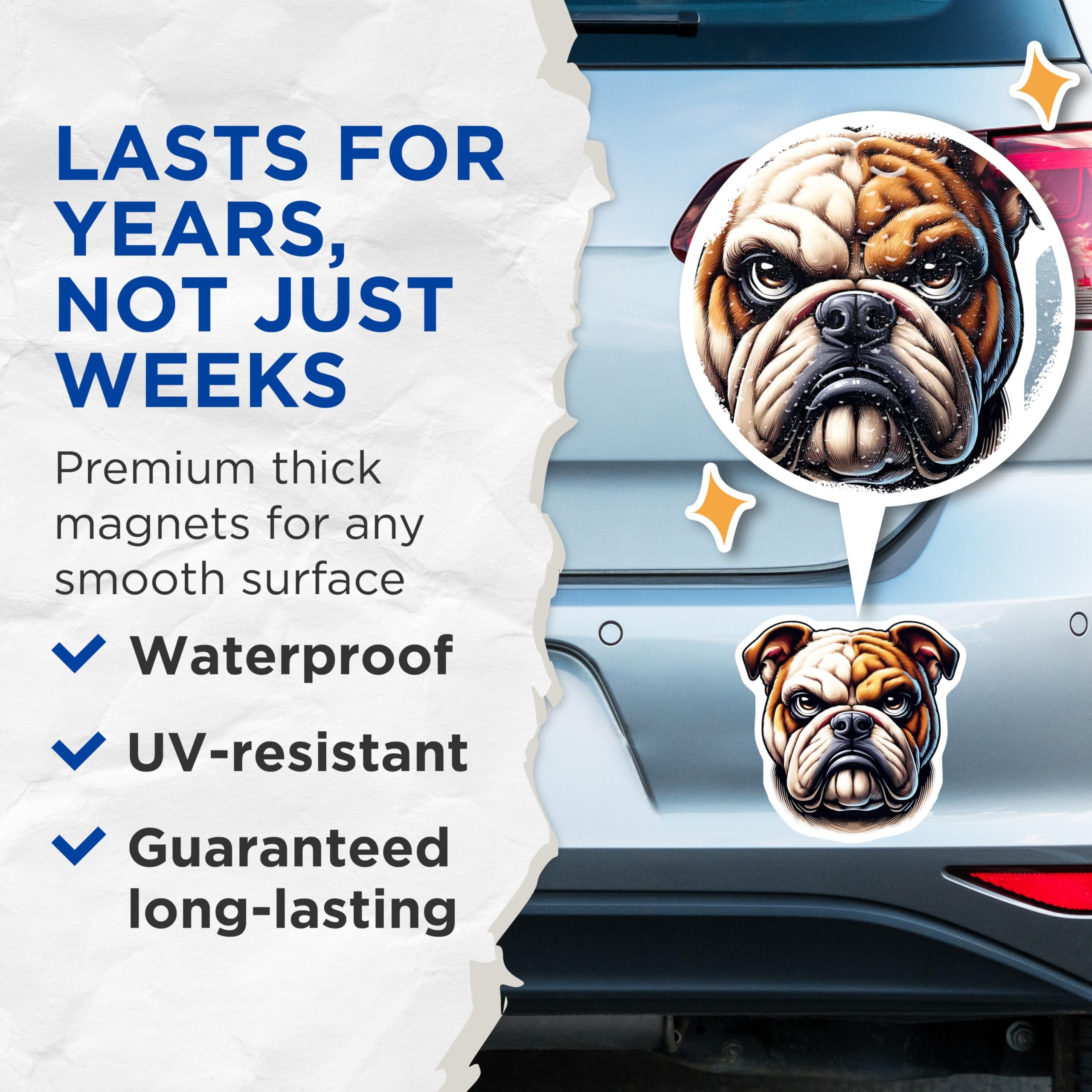 (2 Pack) Bulldog Dog Magnets - Pet Portrait Illustration - Fridge Magnets Decorative - 5" On Longest Side - Premium Magnet - for Cars, Refrigerators, Toolboxes, Lockers - Made in USA - MAG14192