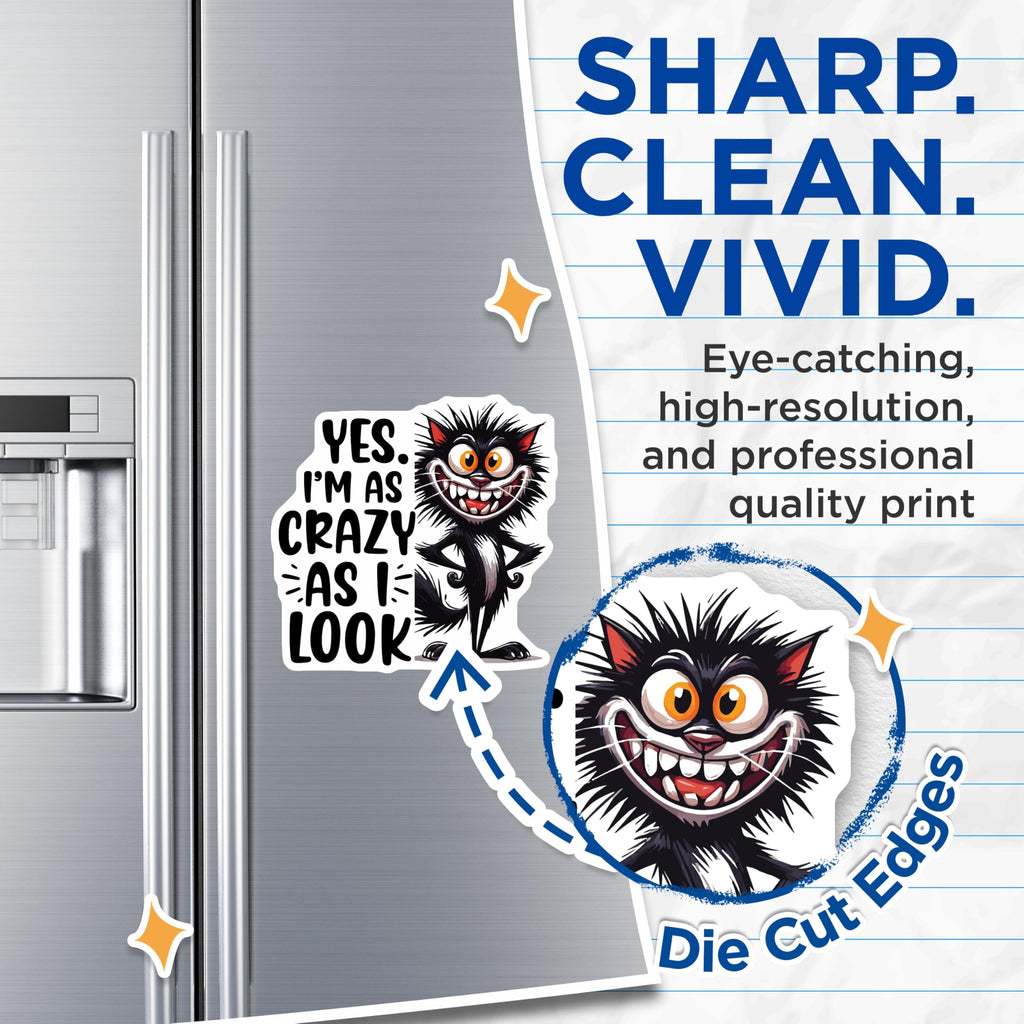 (2 Pack) Crazy Cat Magnets - Funny Kitten Decor - Sarcastic Home Magnets - 5" On Longest Side - Premium Magnet - for Cars, Refrigerators, Toolboxes, Lockers - Made in USA - MAG15621