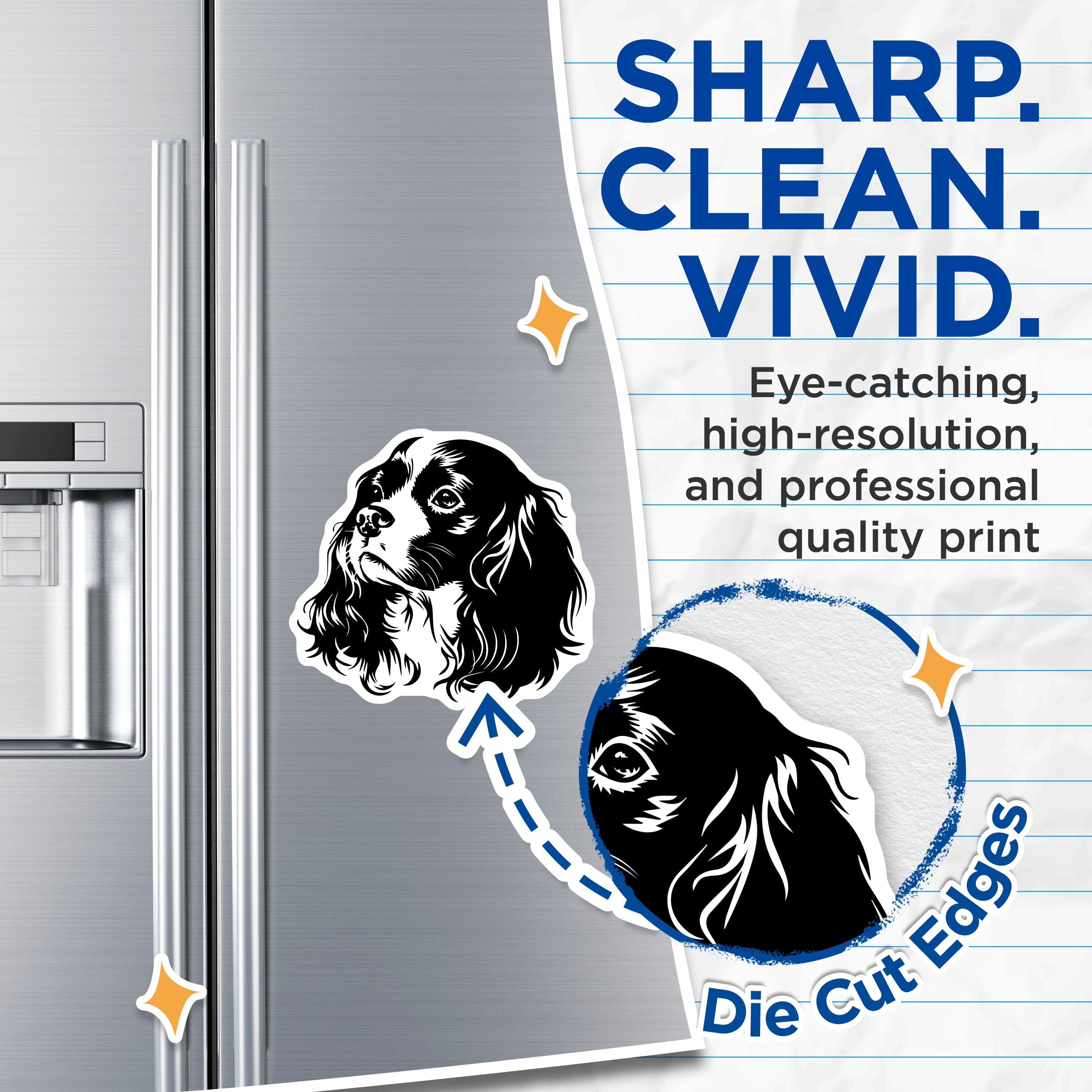 (2 Pack) Cavalier King Charles Spaniel Magnets - Dog Lover Accent - Pet Parent Decor - 5 Inches On Longest Side - Thick Durable Magnet - Made in USA - MAG37985
