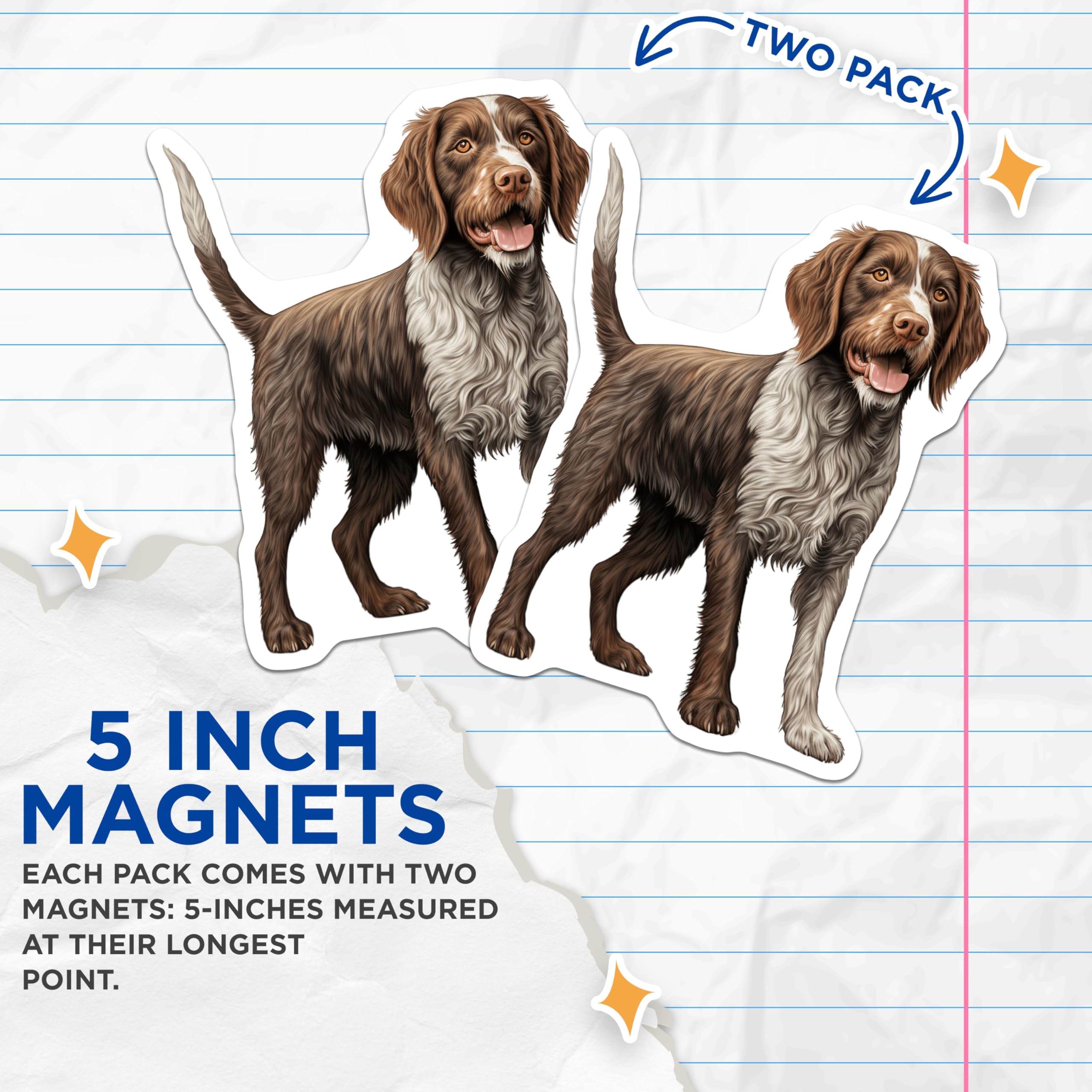 (2 Pack) German Shorthaired Pointer Magnets - GSP Dog Owner Accents - Realistic Pet Portrait - 5 Inches On Longest Side - Thick Durable Magnet - Made in USA - MAG25700
