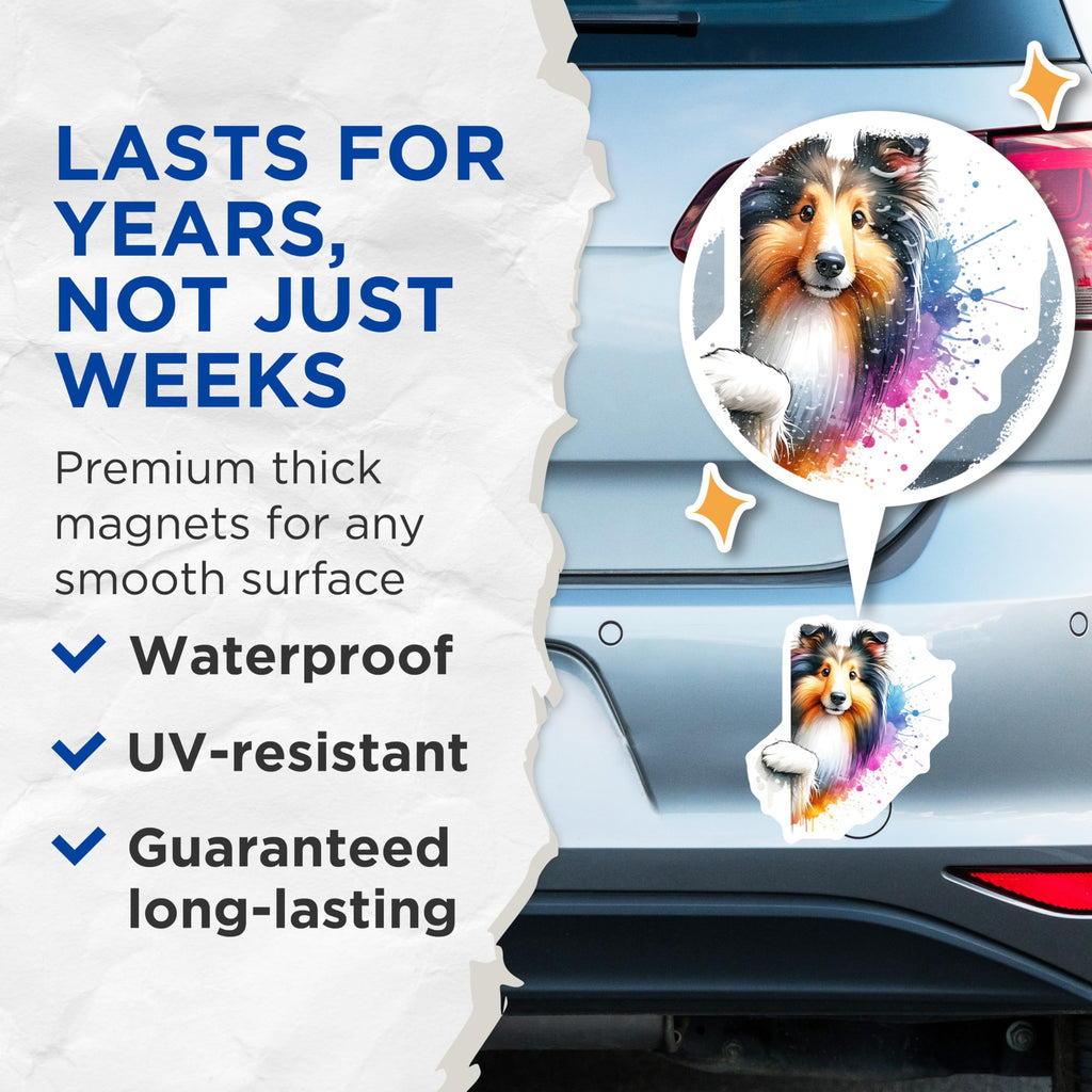 (2 Pack) Sheltie Magnets - Watercolor Dog Art - Refrigerator Magnets - 5" On Longest Side - Premium Magnet - for Cars, Refrigerators, Toolboxes, Lockers - Made in USA - MAG15100