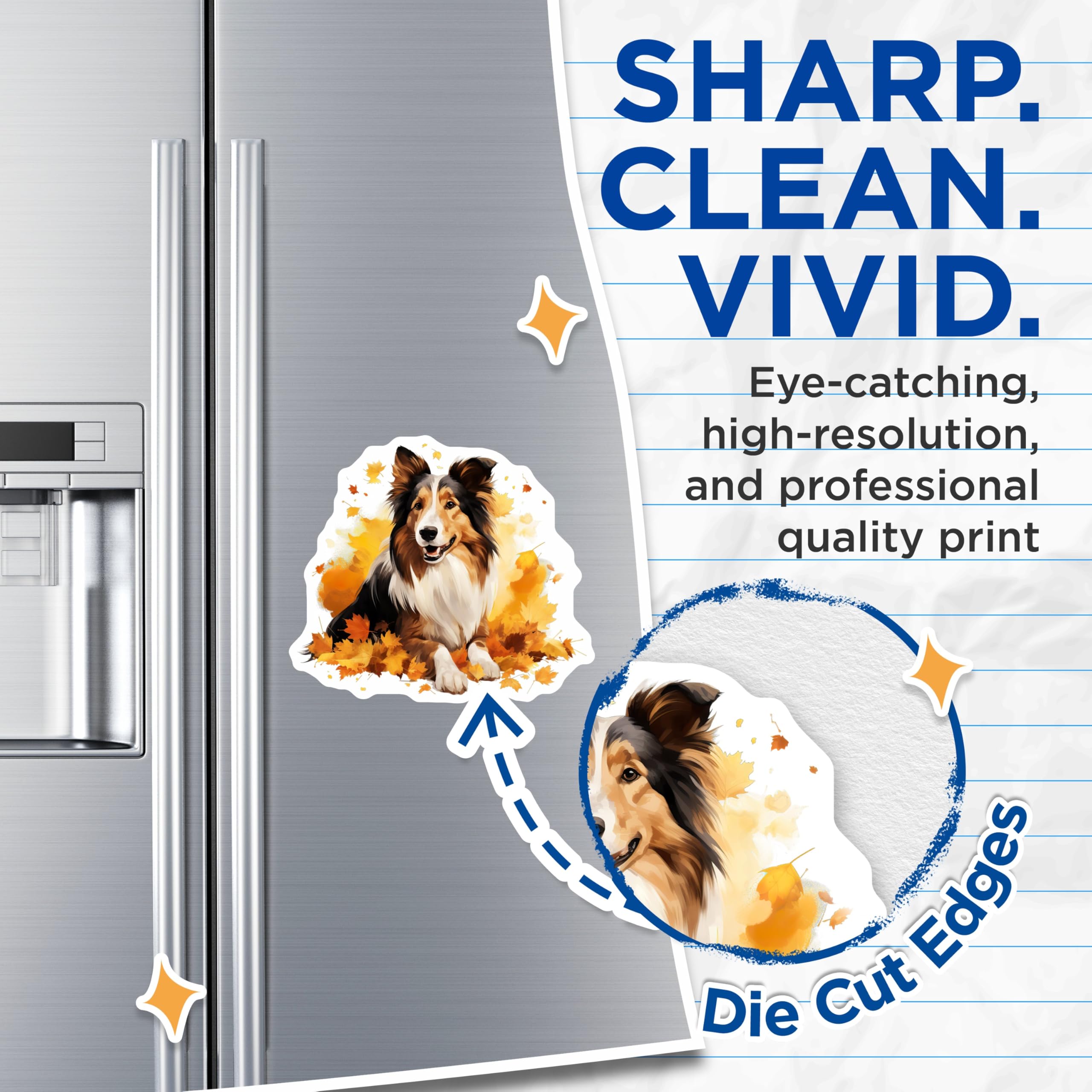 (2 Pack) Shetland Sheepdog Magnets - Sheltie Dog Art - Fall Autumn Decor Pet Lovers - 5 Inches On Longest Side - Thick Durable Magnet - Made in USA - MAG28616
