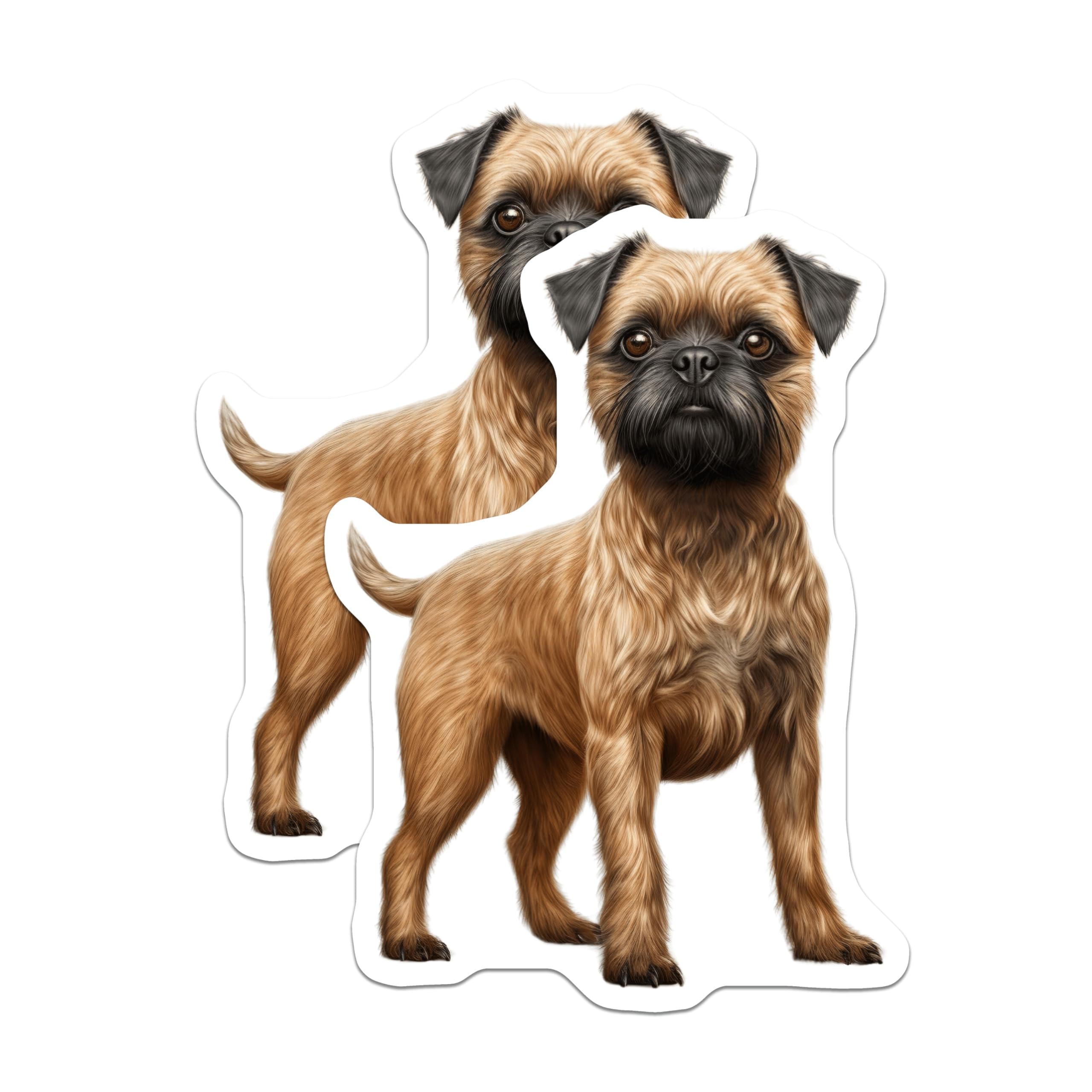 (2 Pack) Border Terrier Magnets - Cute Dog Refrigerator Decor - Pet Owner Home Accent - 5 Inches On Longest Side - Thick Durable Magnet - Made in USA - MAG23941