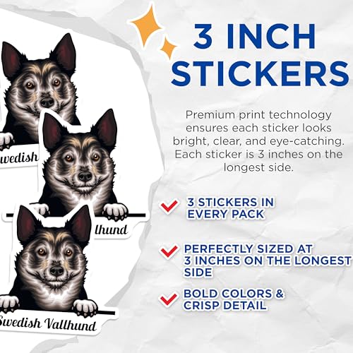 (3 Pack) Swedish Vallhund Decals - Dog Breed Sticker - Laptop Decal - 3 Inches On Longest Side - Easy Peel & Apply - Made in USA - 3MCS2992