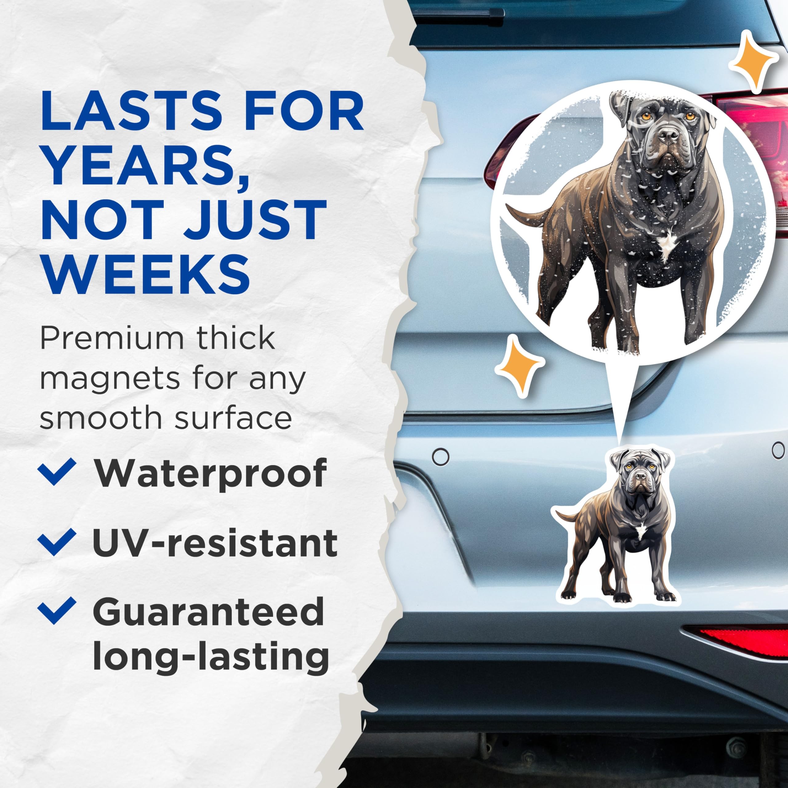 (2 Pack) Cane Corso Dog Magnets - Dog Breed Kitchen Decor - Pet Lover Fridge Accessories - 5 Inches On Longest Side - Thick Durable Magnet - Made in USA - MAG25105