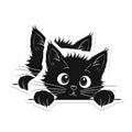 (2 Pack) Black Cat Magnets - Kitten Peek Design - Fridge Magnets - 5" On Longest Side - Premium Magnet - for Cars, Refrigerators, Toolboxes, Lockers - Made in USA - MAG14070
