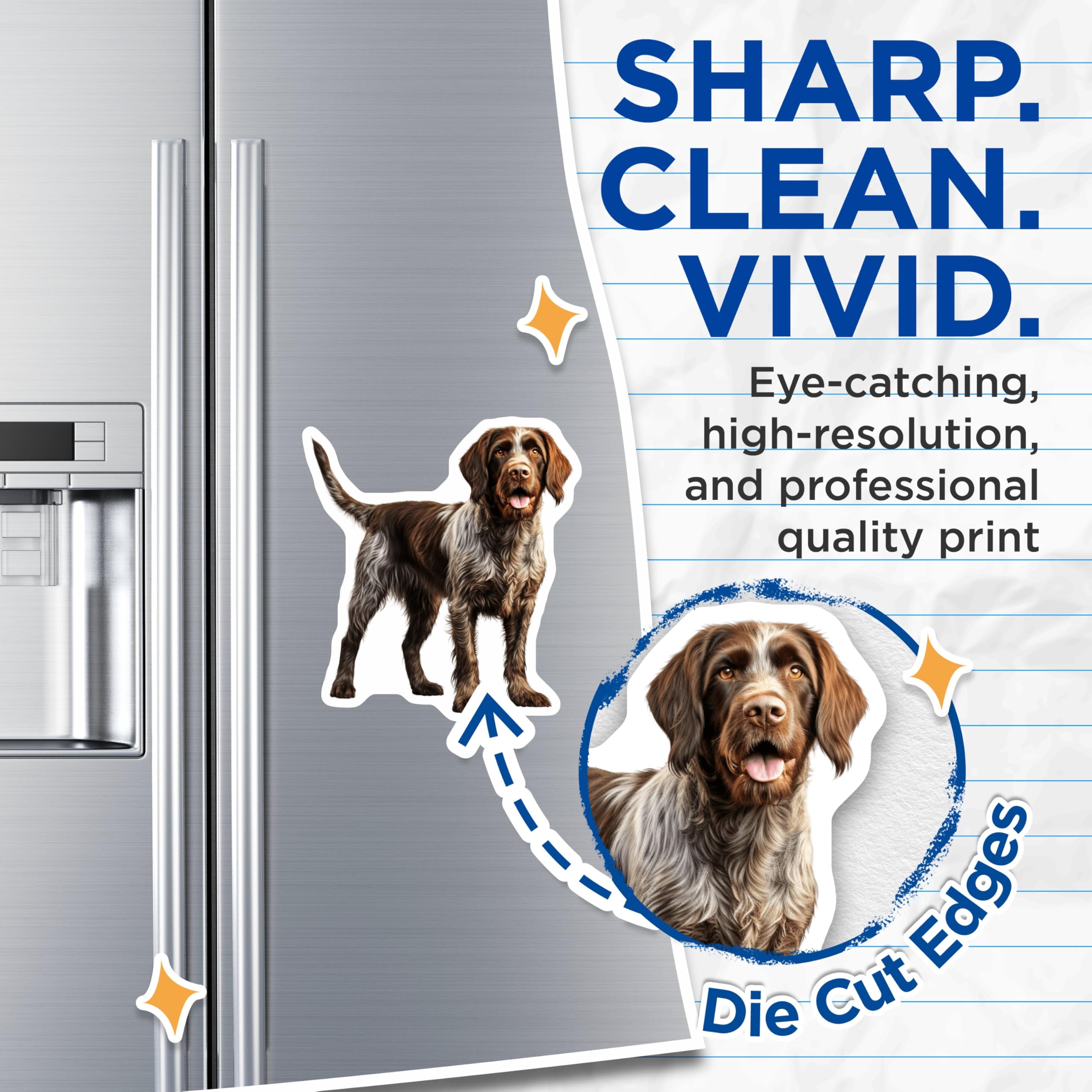 (2 Pack) German Wirehaired Pointer Magnets - GWP Dog Breed Art - Hunting Dog Lover Accents - 5 Inches On Longest Side - Thick Durable Magnet - Made in USA - MAG30138