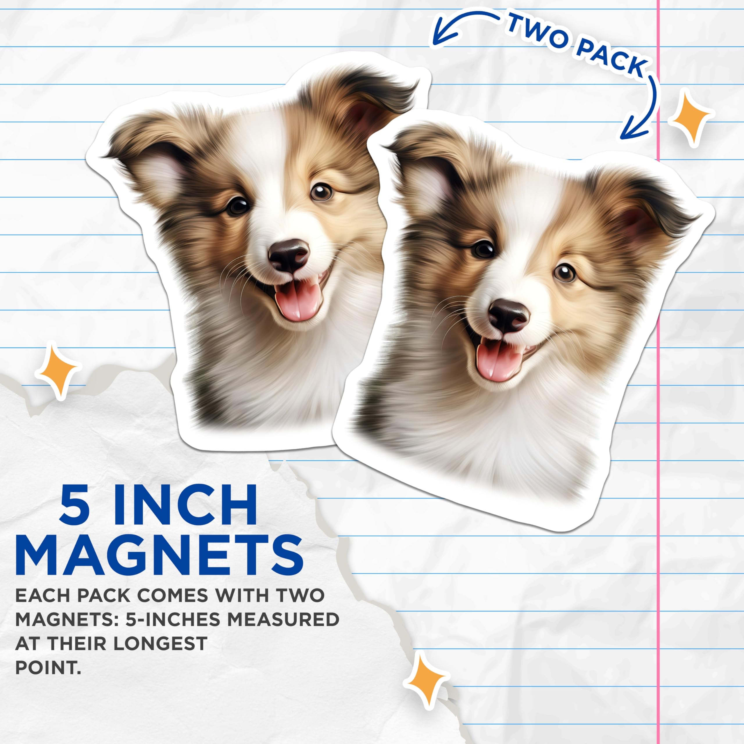 (2 Pack) Shetland Sheepdog Puppy Magnets - Adorable Dog Lover Art - Pet Mom Dad Refrigerator Decor - 5 Inches On Longest Side - Thick Durable Magnet - Made in USA - MAG28474