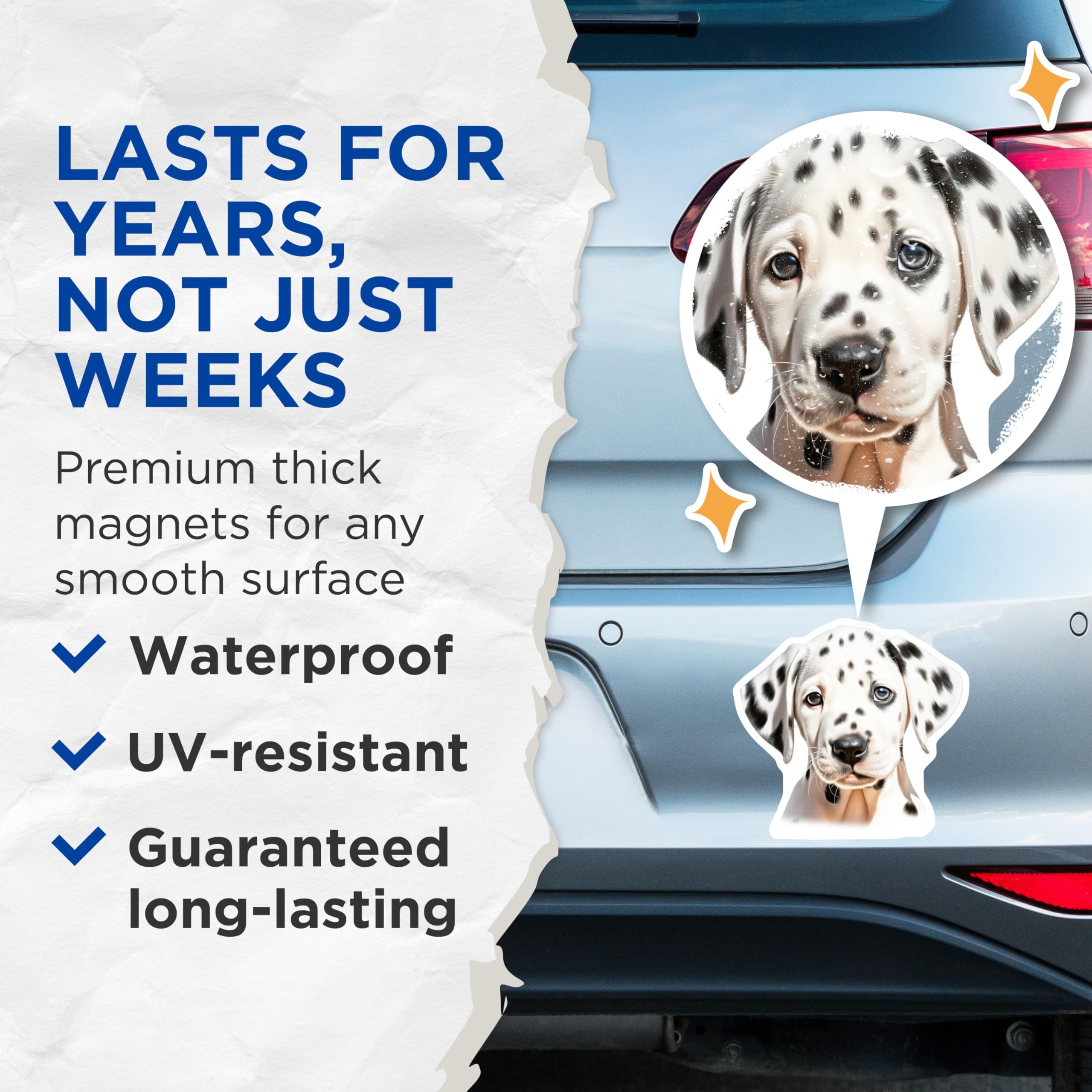 (2 Pack) Adorable Dalmatian Puppy Magnets - Dog Owner Accessories - Fridge Locker Decoration - 5 Inches On Longest Side - Thick Durable Magnet - Made in USA - MAG25478