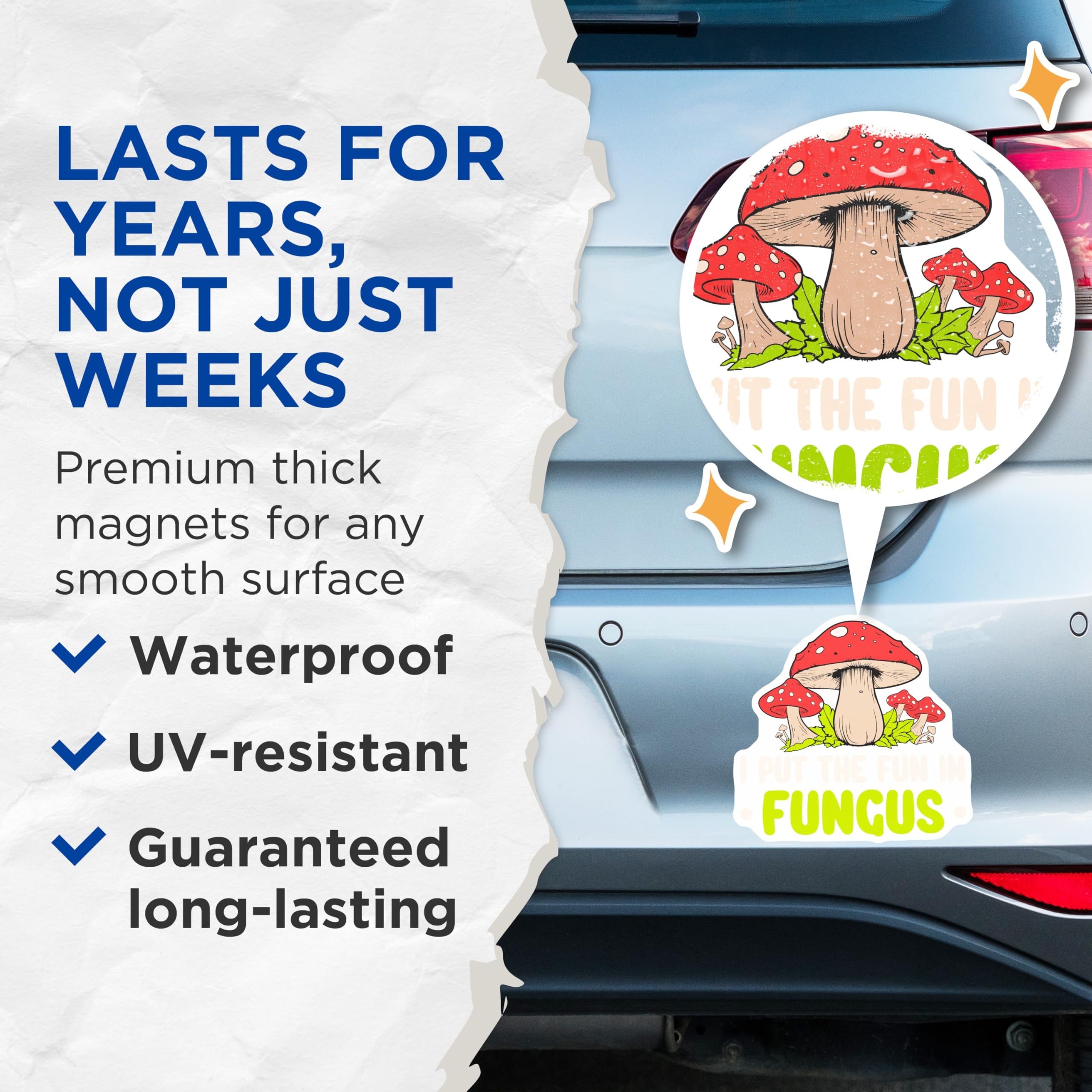 (2 Pack) Mushroom Magnets - Funny Fungus Sayings - Mycology Humor Fridge Decor - 5 Inches On Longest Side - Thick Durable Magnet - Made in USA - MAG19288