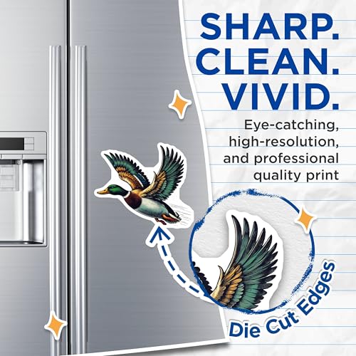 (2 Pack) Duck Wildlife Art Magnets Magnets - Flying Duck Illustration - Bird Nature Scene - 5" On Longest Side - Made in USA - Sticks to Refrigerators & Metal Surfaces - MAG8718
