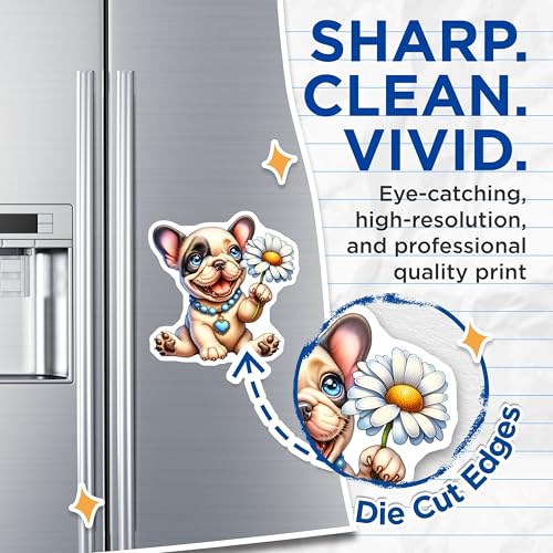 (2 Pack) Dog Decor Magnet - 5" On Longest Side - Sticks to Smooth Flat Surfaces - Made in USA - MAG9586