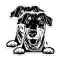 (2 Pack) Dog Lover Stickers - Black Dog Decal - Pet Owner Car Stickers - Adorable Puppy Art - Cute Pet Illustration - 5" On Longest Side - Sticks to Smooth Flat Surfaces - Made in USA - BMCS4034