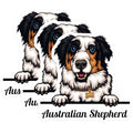 (3 Pack) Australian Shepherd Decals - Dog Breed Stickers - Laptop Decal - 3 Inches On Longest Side - Easy Peel & Apply - Made in USA - 3MCS2988