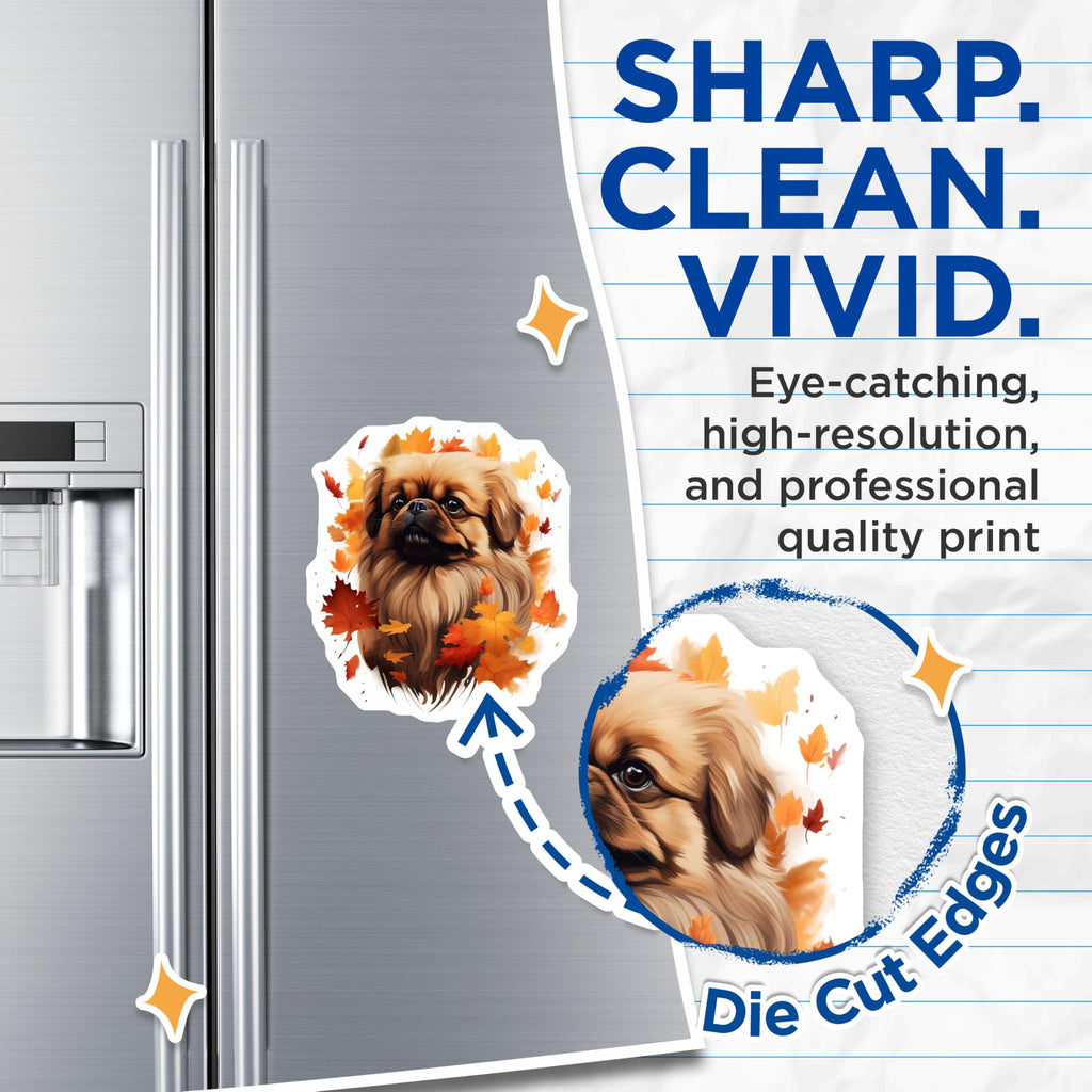 (2 Pack) Pekingese Dog Magnets - Autumn Fall Decor - Pet Lover Refrigerator - 5 Inches On Longest Side - Thick Durable Magnet - Made in USA - MAG28571