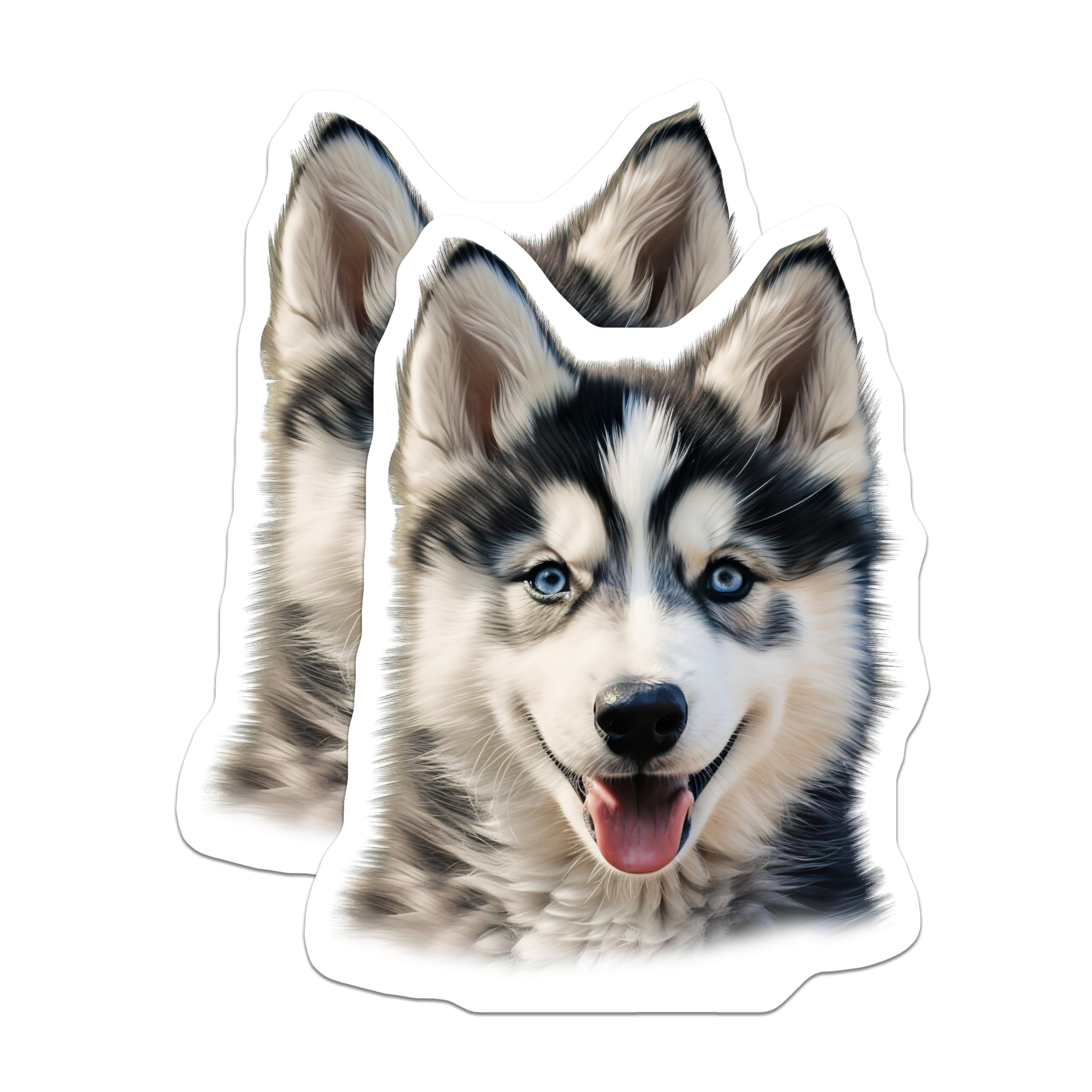(2 Pack) Siberian Husky Puppy Magnets - Adorable Blue Eyed Dog Decor - Animal Lover Fridge Accent - 5 Inches On Longest Side - Thick Durable Magnet - Made in USA - MAG23626
