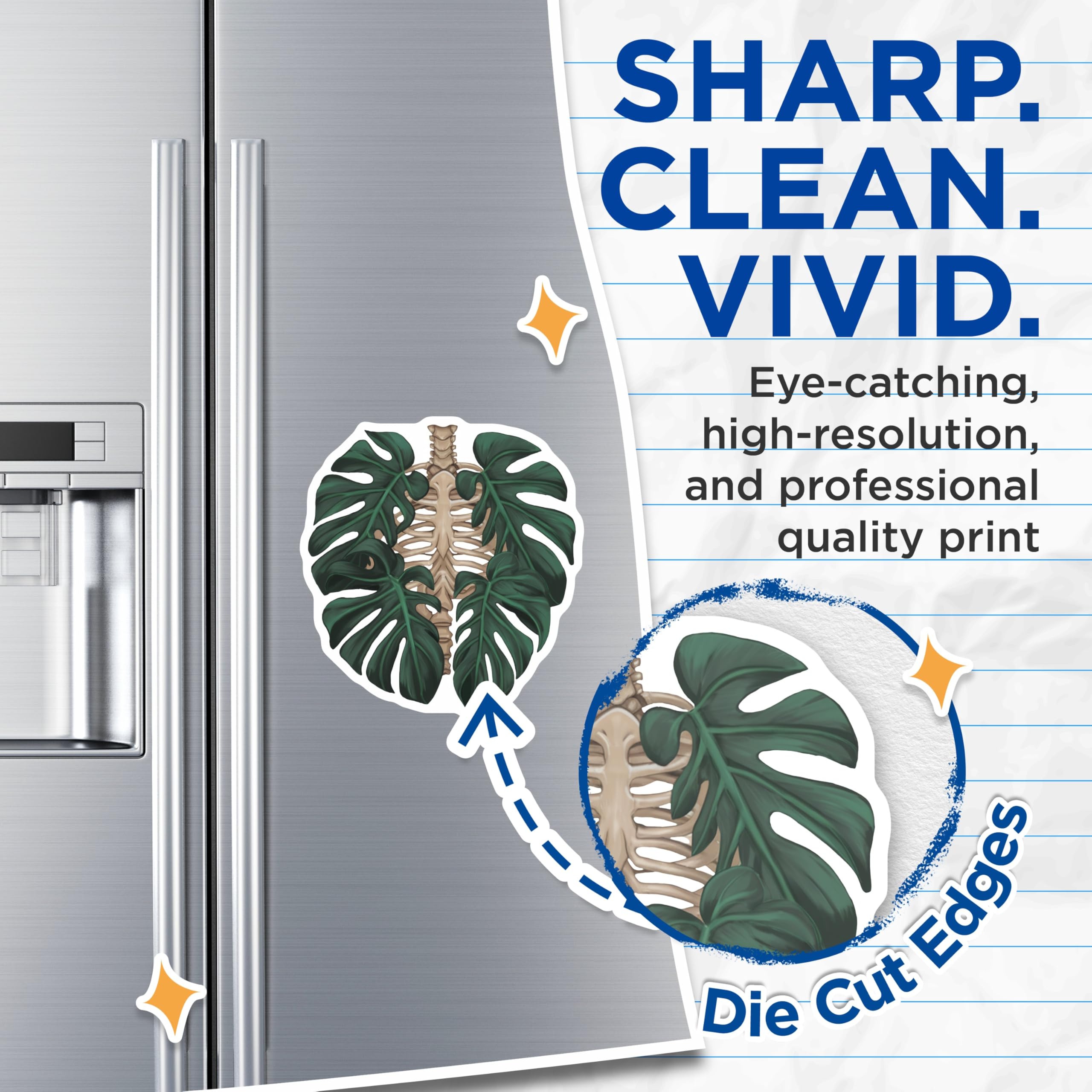 (2 Pack) Monstera Skeleton Magnets - Botanical Anatomy Decor - Unique Fridge Accessories - 5 Inches On Longest Side - Thick Durable Magnet - Made in USA - MAG19067